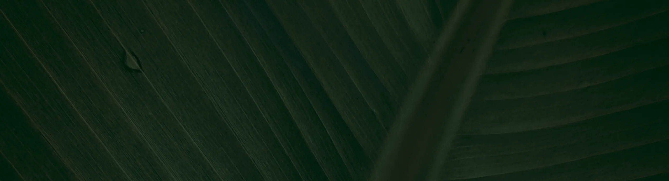 hero-image_optimized Inversor iniciante